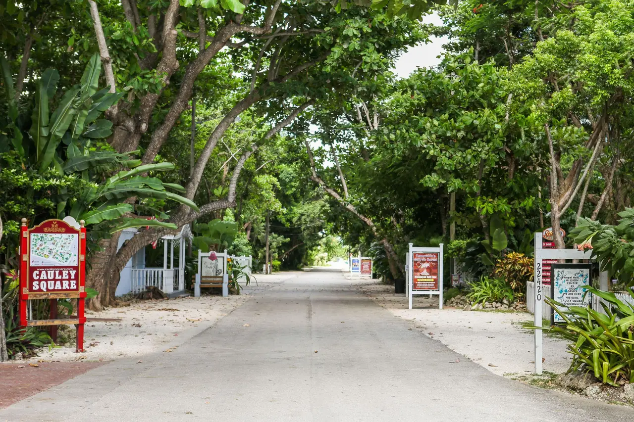 Cauley Square main street